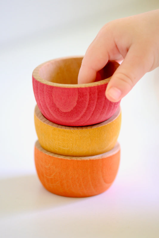 6pc Sorting Bowls | Wild Brights