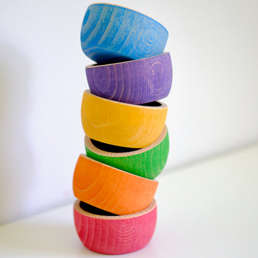 6pc Sorting Bowls | Wild Brights