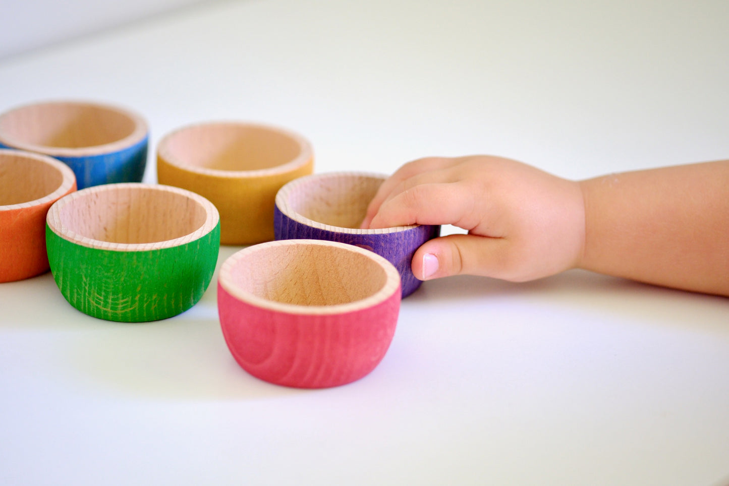 6pc Sorting Bowls | Wild Brights