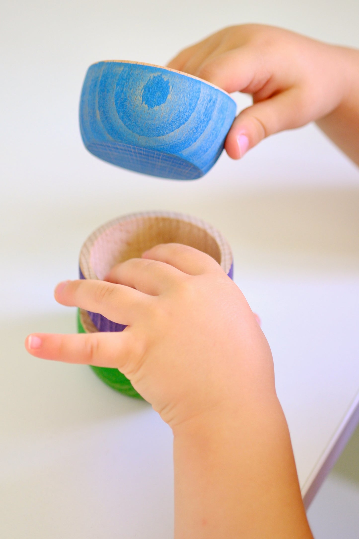6pc Sorting Bowls | Wild Brights