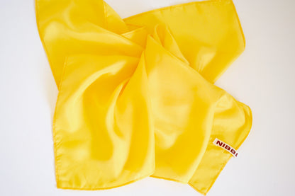 Large Play Silk